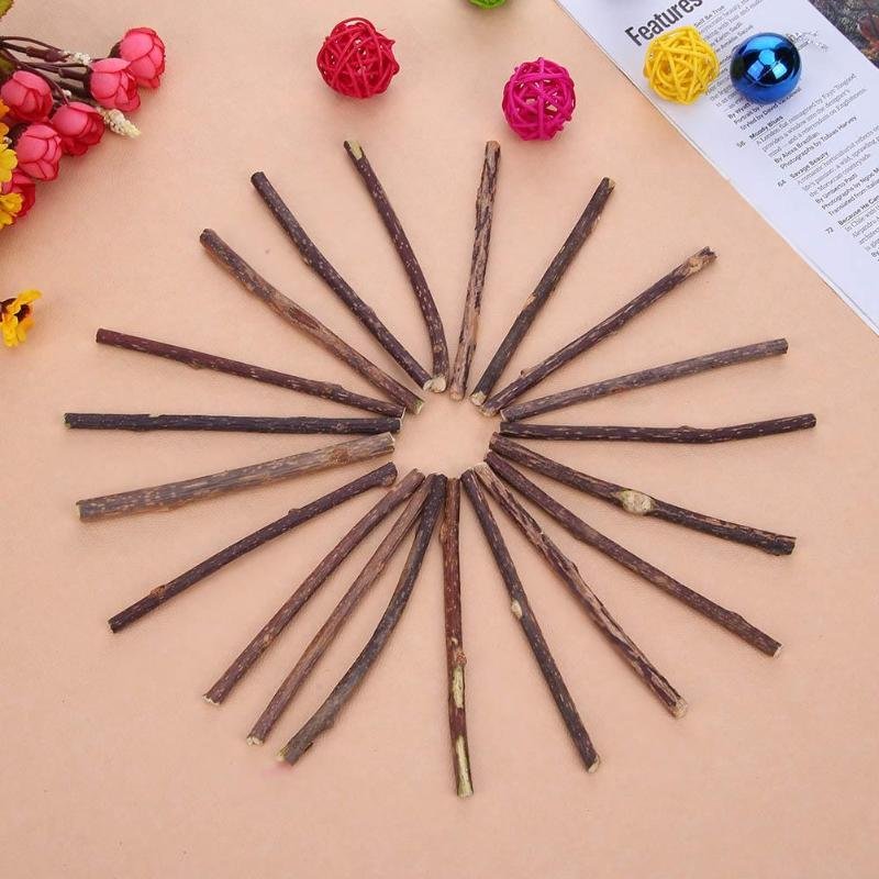 Chompy Sticks - Image 3