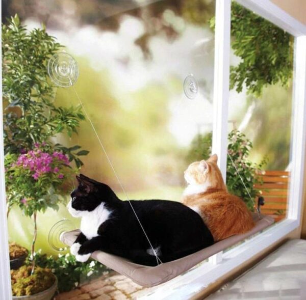 Cat Hammock