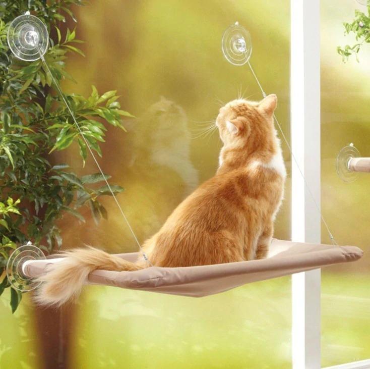 Cat Hammock - Image 2